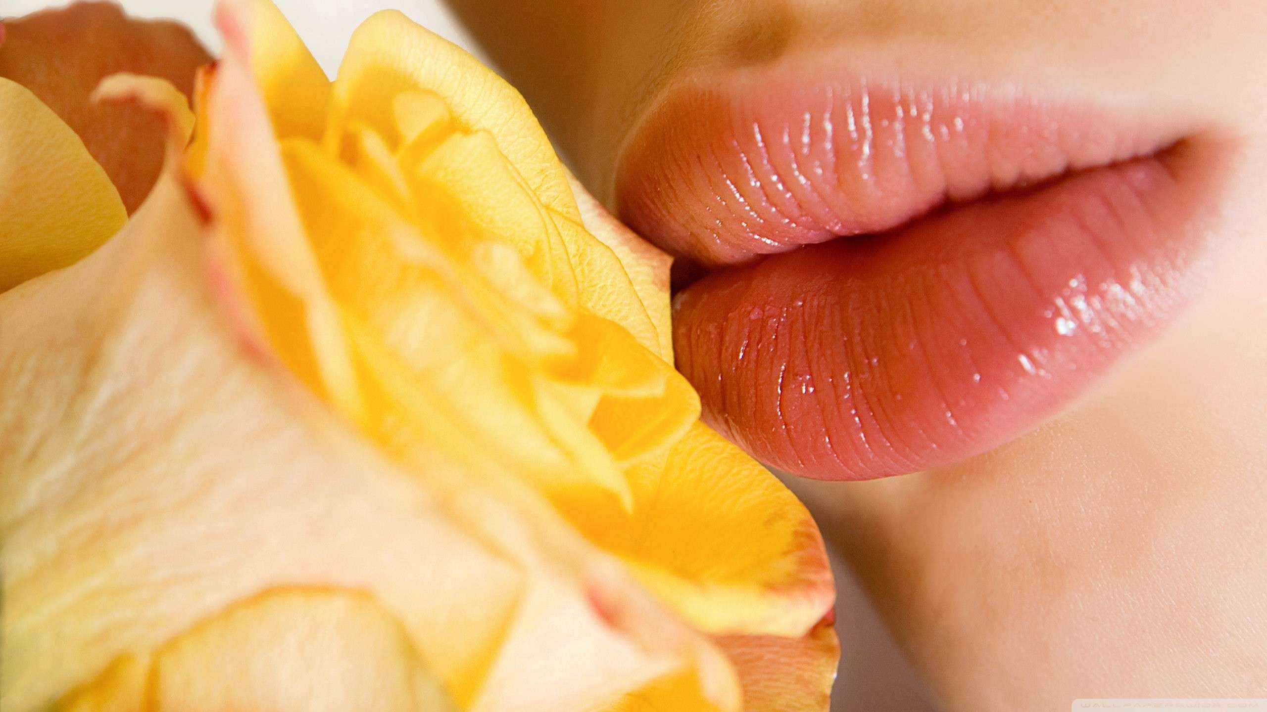 beautiful lips hd wallpapers,yellow,junk food,hand,skin,finger