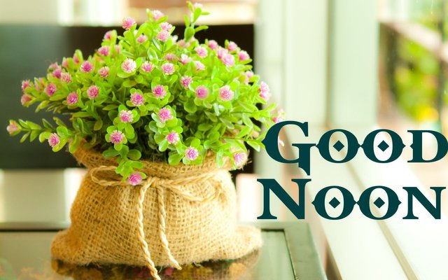 good noon wallpaper,flowerpot,flower,cut flowers,bouquet,plant