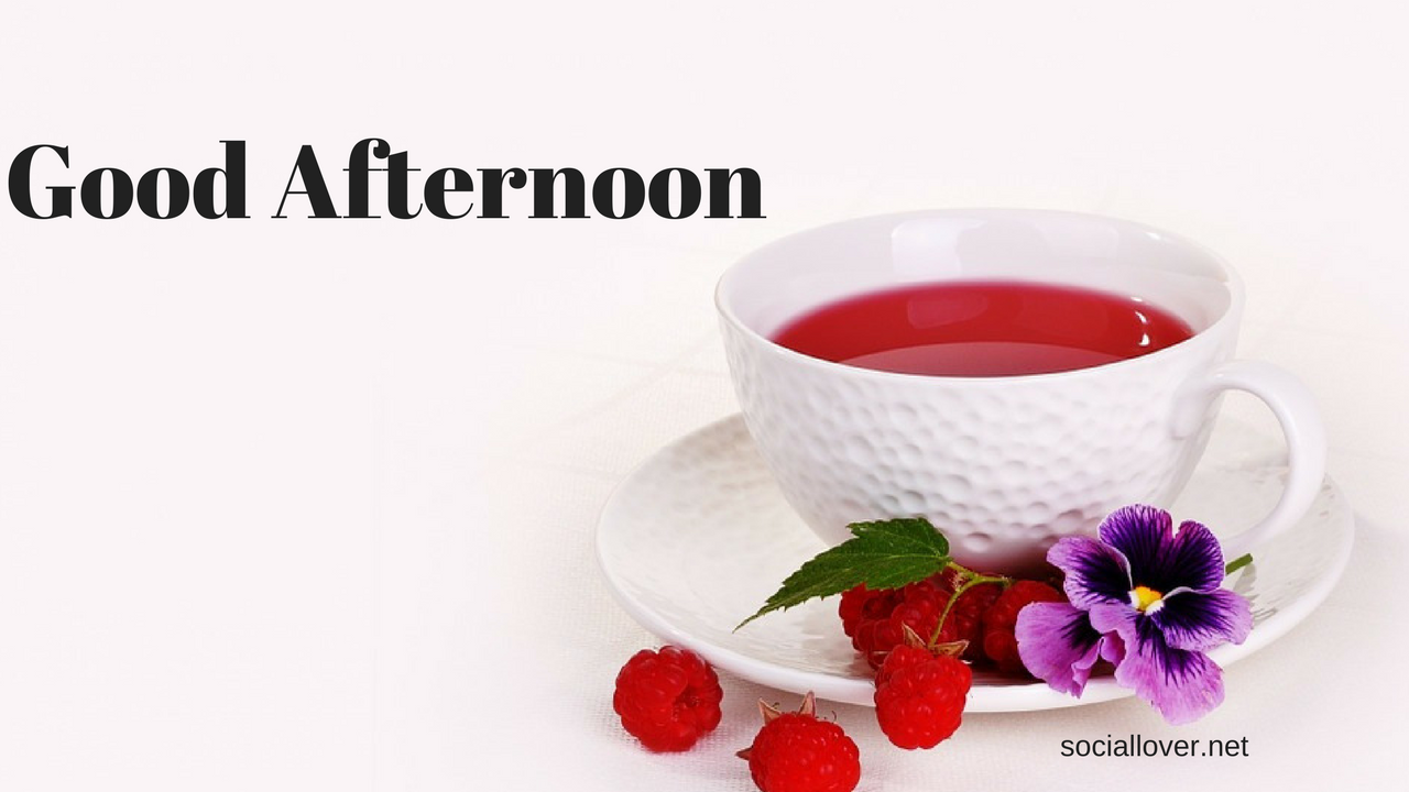 good noon wallpaper,chinese herb tea,cup,cup,morning,tea