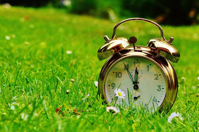 目覚まし時計の壁紙,緑,自然,目覚まし時計,時計,草