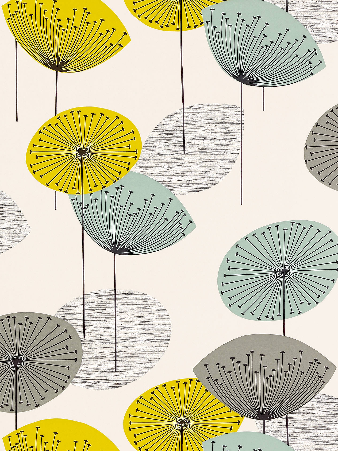 papier peint horloges de pissenlit,parapluie,pissenlit,plante