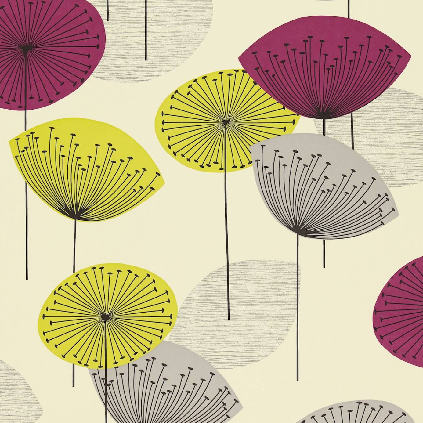 dandelion clocks wallpaper,umbrella,line,design,pattern,fashion accessory