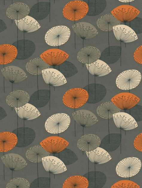 dandelion clocks wallpaper,pattern,design,flower,organism,plant