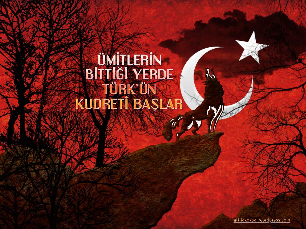 Turkish Wolf Background WallpaperUse