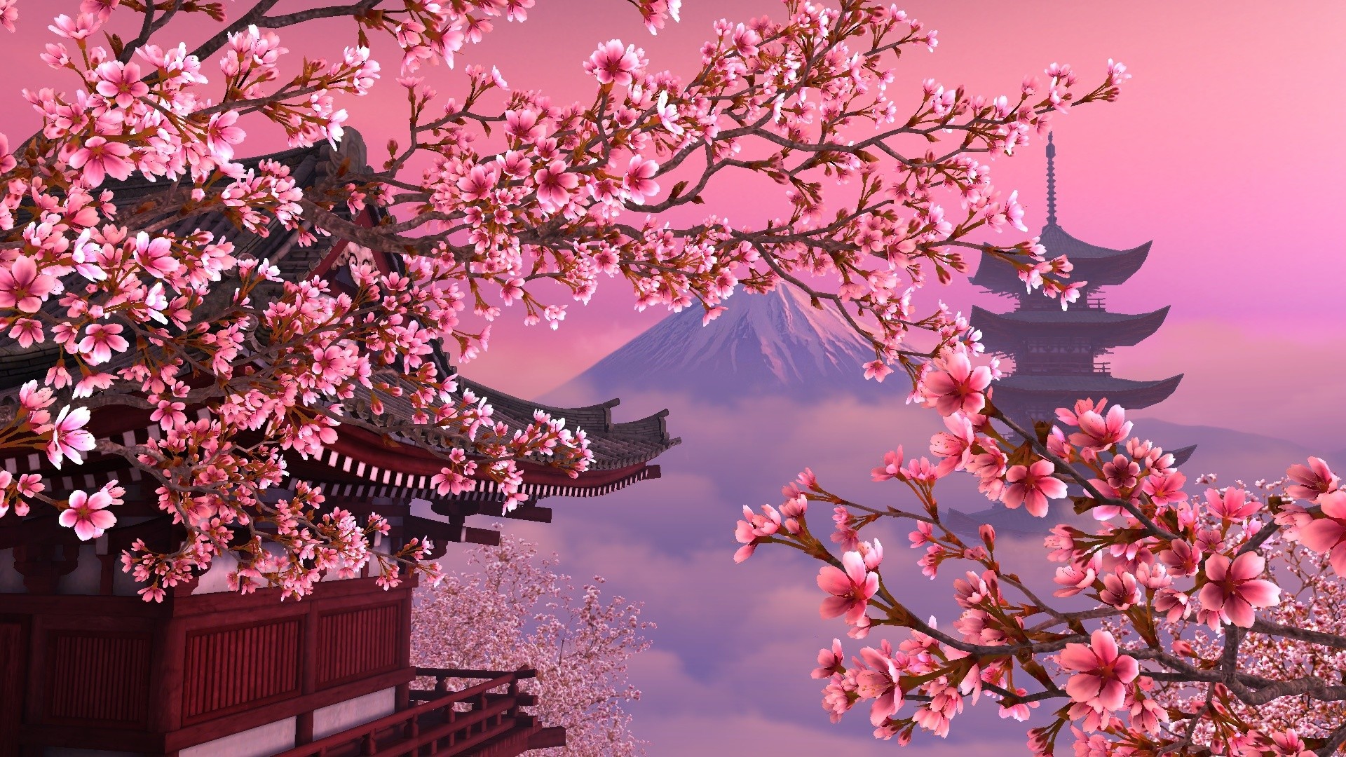 cherry blossom desktop wallpaper,flower,blossom,spring,tree,plant