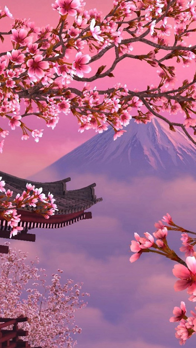 cherry blossom iphone wallpaper,flower,blossom,nature,spring,cherry blossom