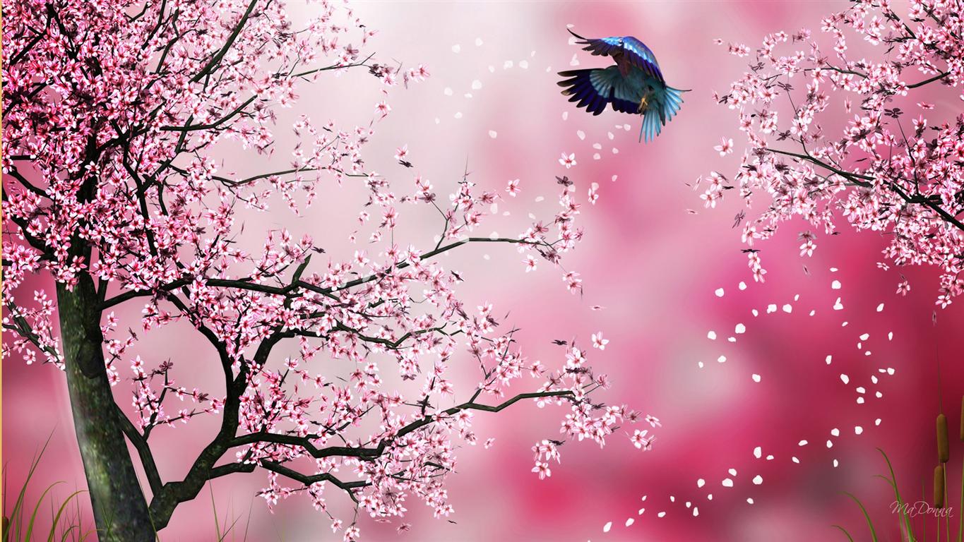 carta da parati rosa sakura,rosa,primavera,cielo,fiorire,albero