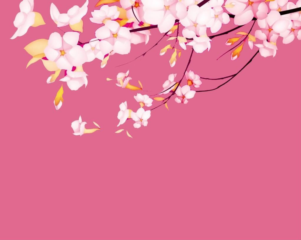 핑크 사쿠라 벽지,꽃,꽃,벚꽃,분홍,봄