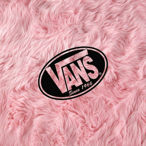 vans rosadas tumblr