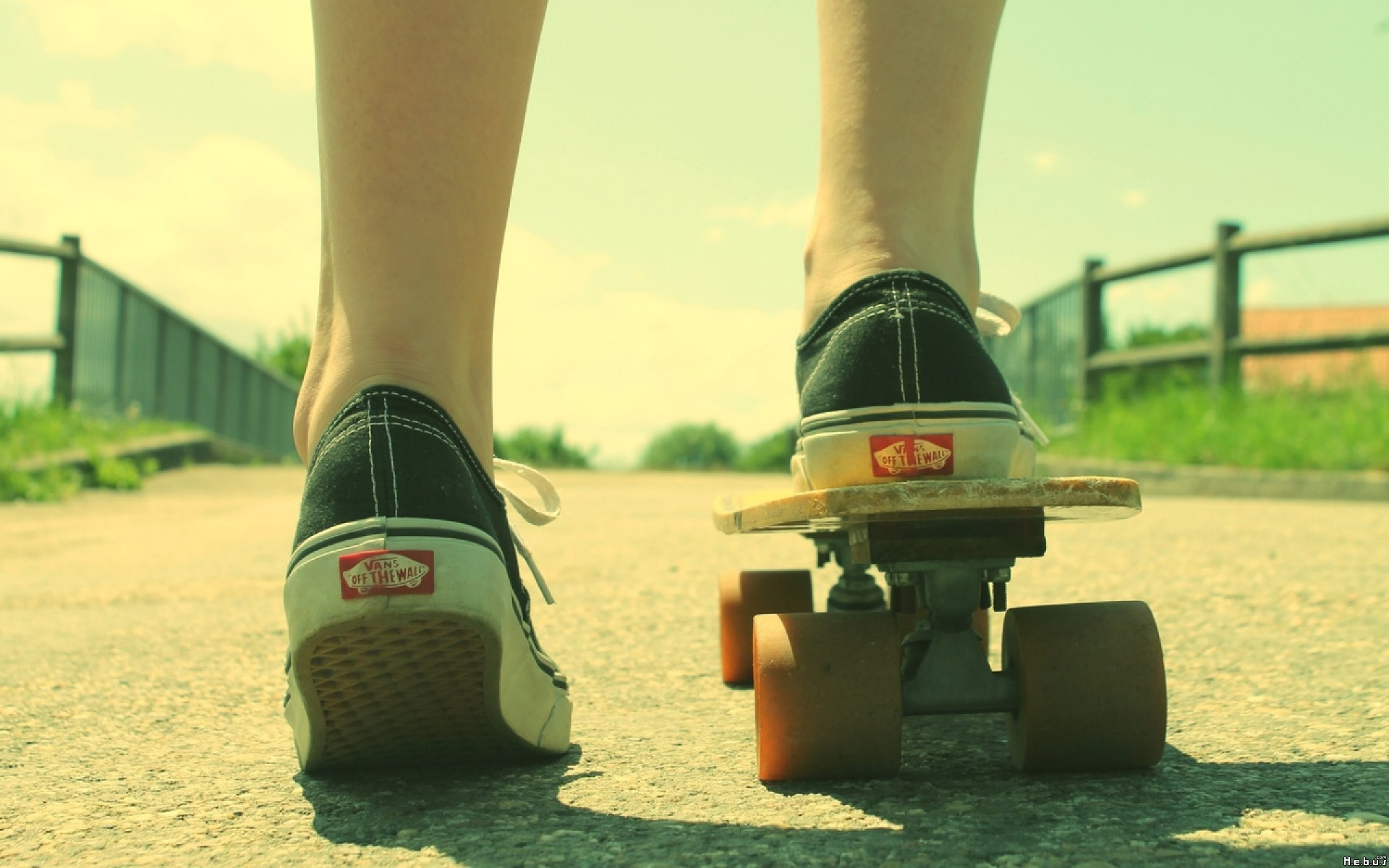 vans shoes wallpaper,skateboard,longboarding,green,longboard,skateboarding equipment