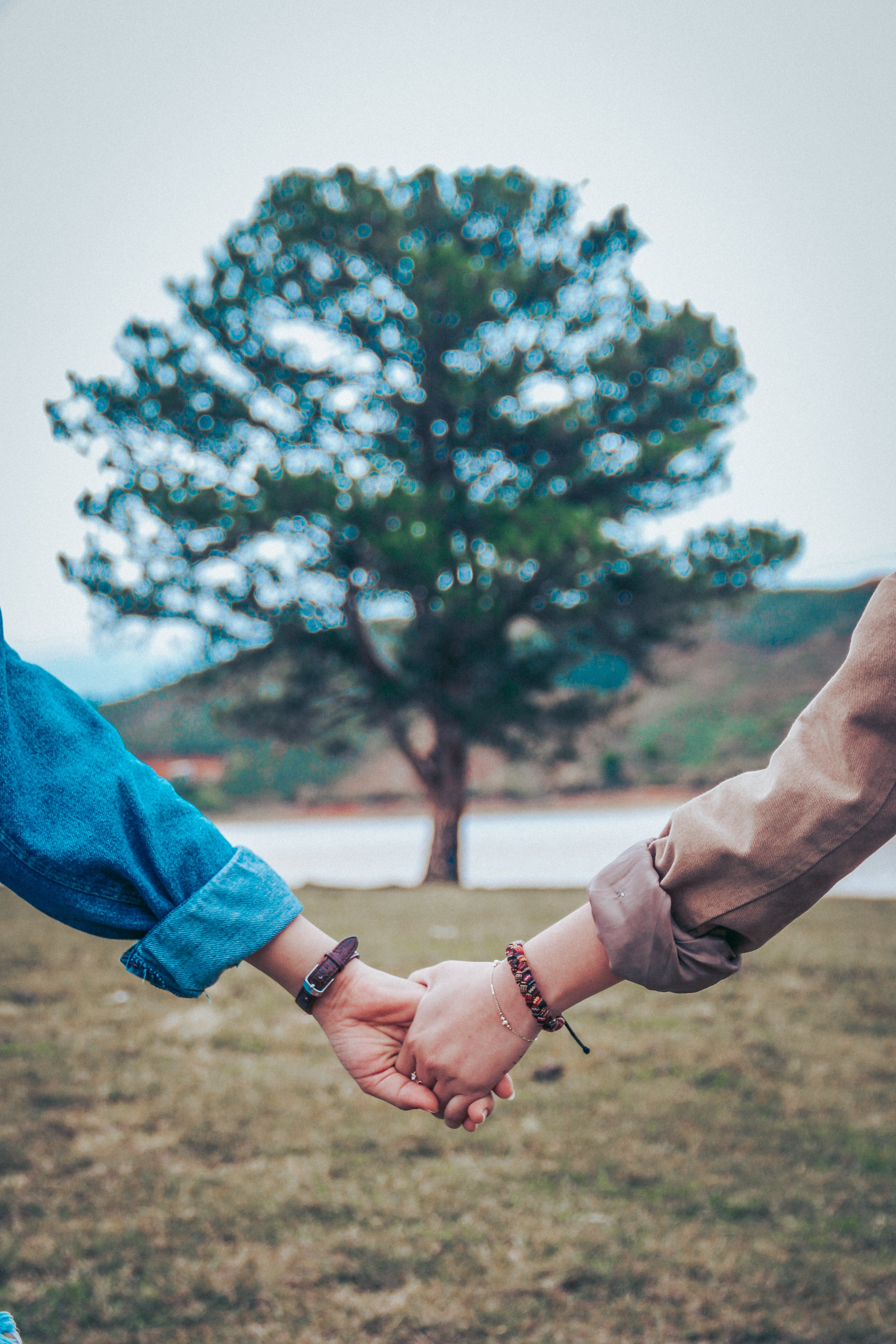 freundschaft hände tapeten,fotografieren,hand,türkis,baum,geste