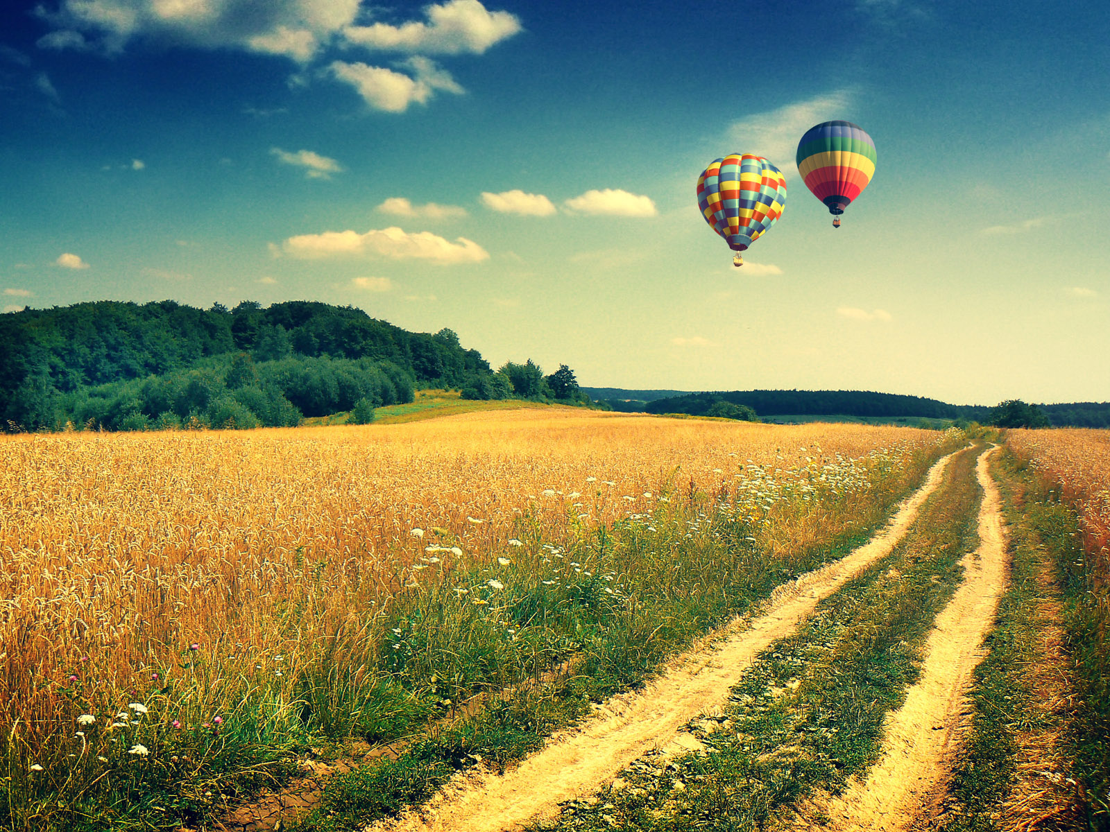 fondo de pantalla de globo de aire,paseos en globo,globo aerostático,cielo,paisaje natural,globo