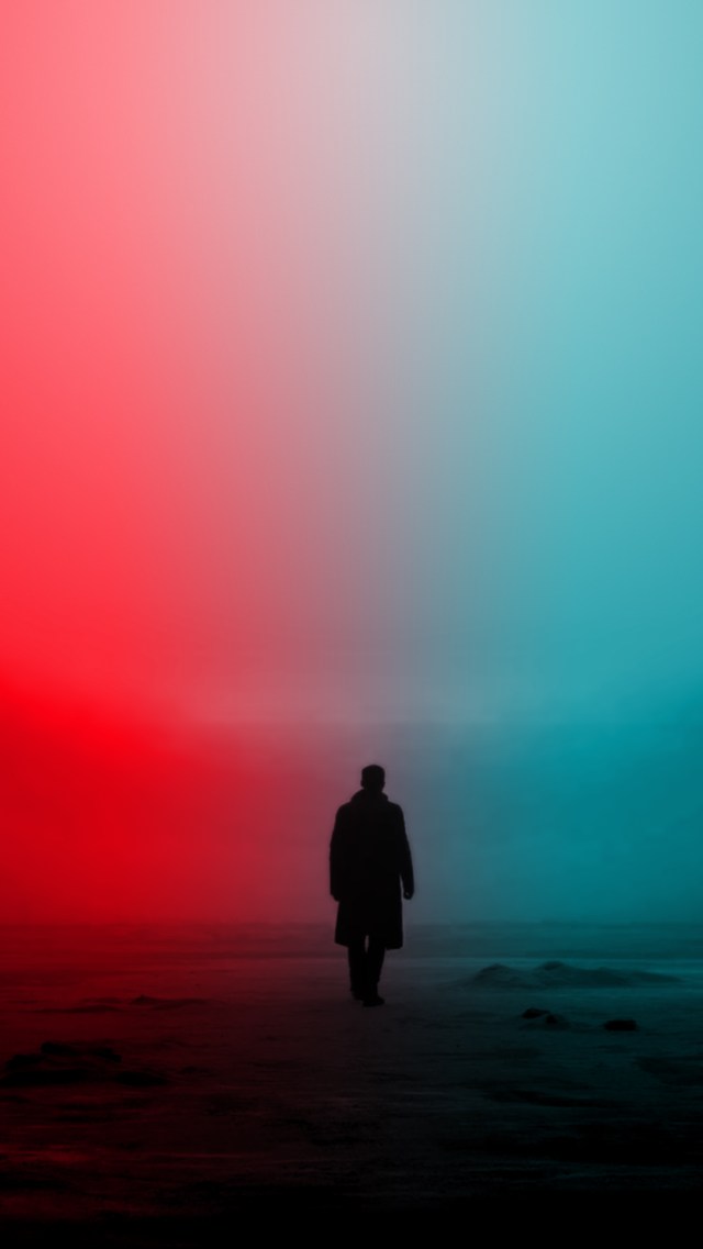 blade runner iphone wallpaper,sky,horizon,atmospheric phenomenon,pink,calm