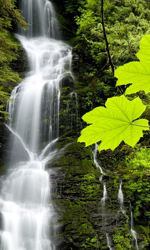 micromaxライブ壁紙,滝,自然の風景,水域,水資源,自然