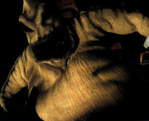 oogie boogie fondo de pantalla,mano,humano,oscuridad,fotografía,gesto