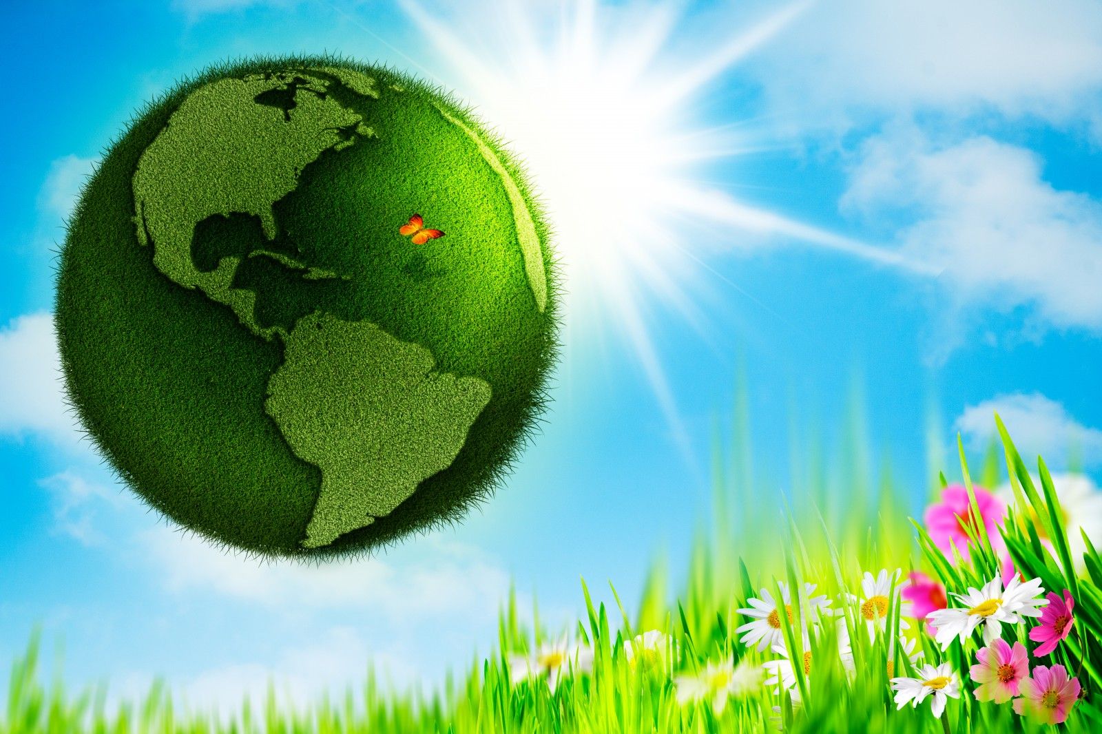 earth day wallpaper,green,natural landscape,grass,world,earth