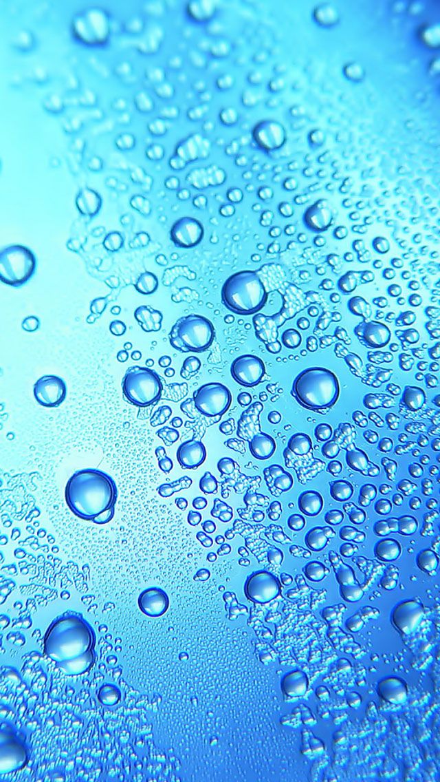 clear iphone wallpaper,drop,water,dew,blue,moisture