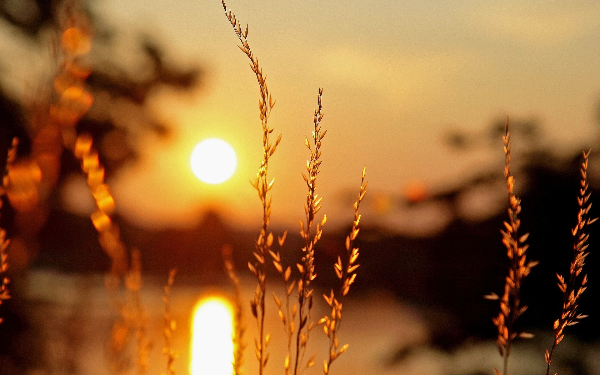 blur background wallpaper,nature,sky,light,natural landscape,heat