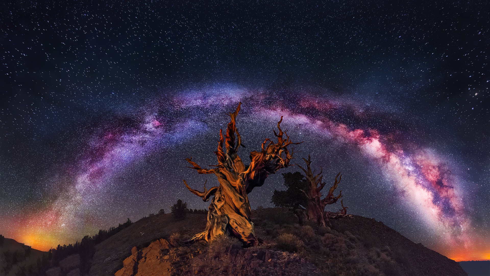 voie lactée fond d'écran hd,la nature,ciel,atmosphère,espace,arbre