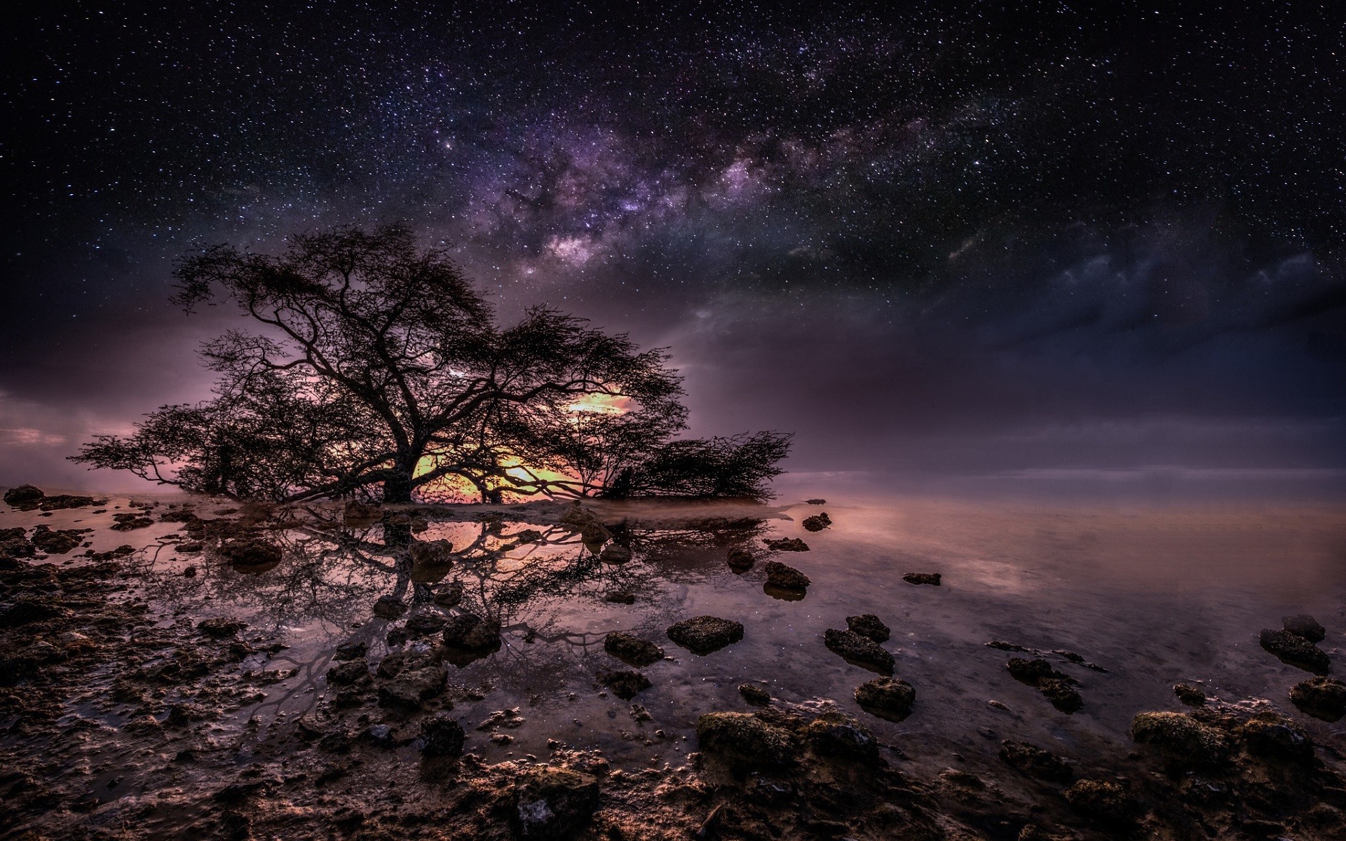 vía láctea fondo de pantalla hd,cielo,naturaleza,atmósfera,árbol,noche