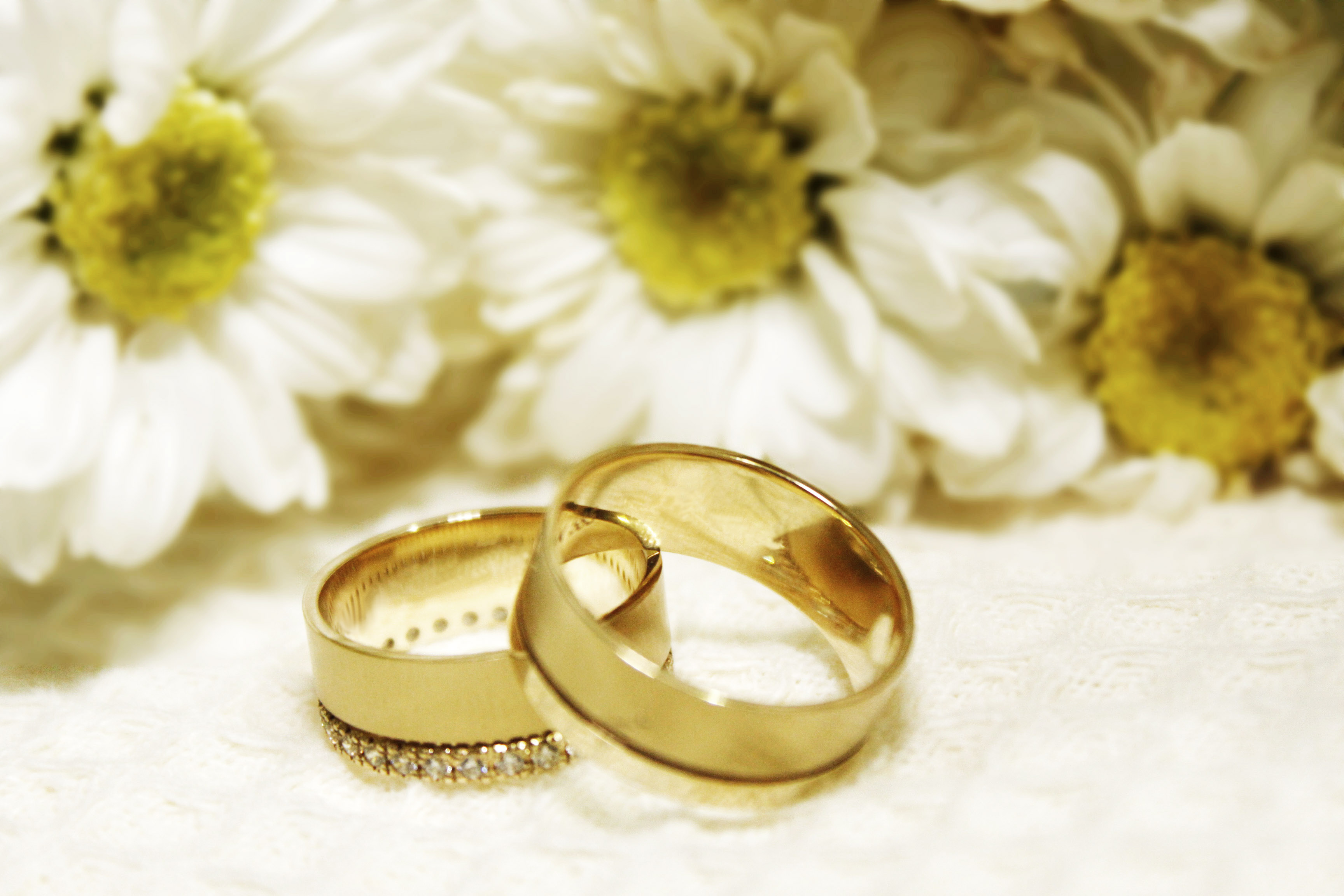 fondo de pantalla ceremonia de anillo,amarillo,anillo de bodas,suministro de ceremonia de boda,anillo,joyería del cuerpo