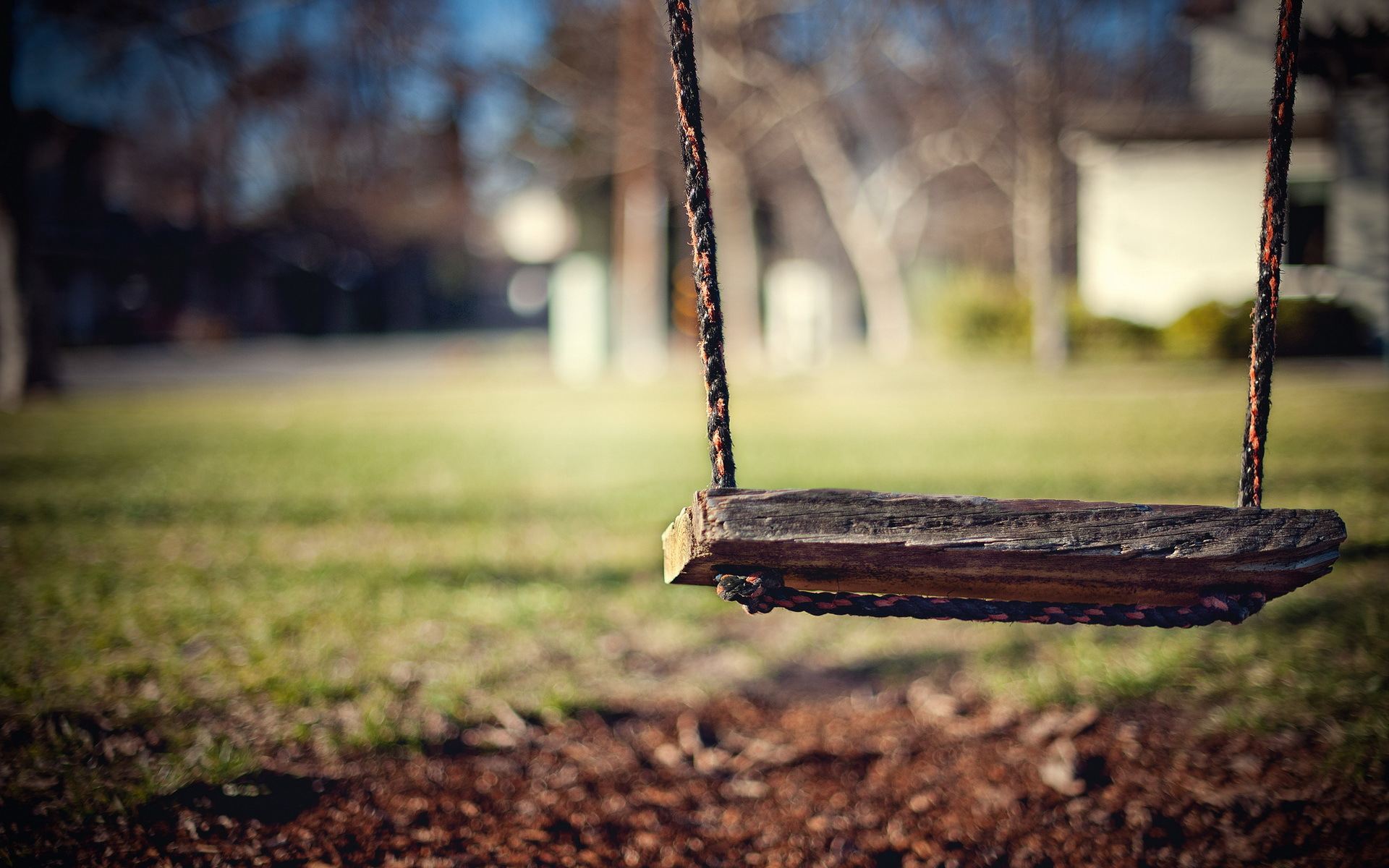 carta da parati bar,swing,albero,erba,cielo,atmosfera