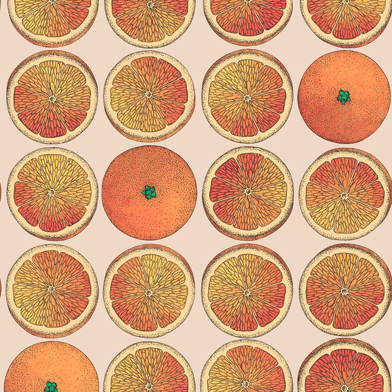 carta da parati arancione e crema,arancia,modello,cerchio,pesca