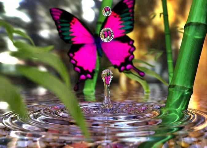 fond d'écran nachural full hd,papillon,insecte,papillons et papillons,violet,rose