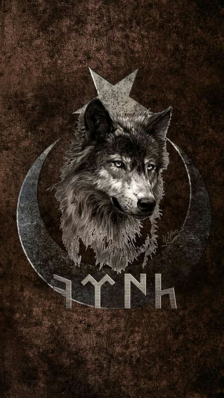arka plan wallpaper,camiseta,perro,fauna silvestre,lobo,ilustración