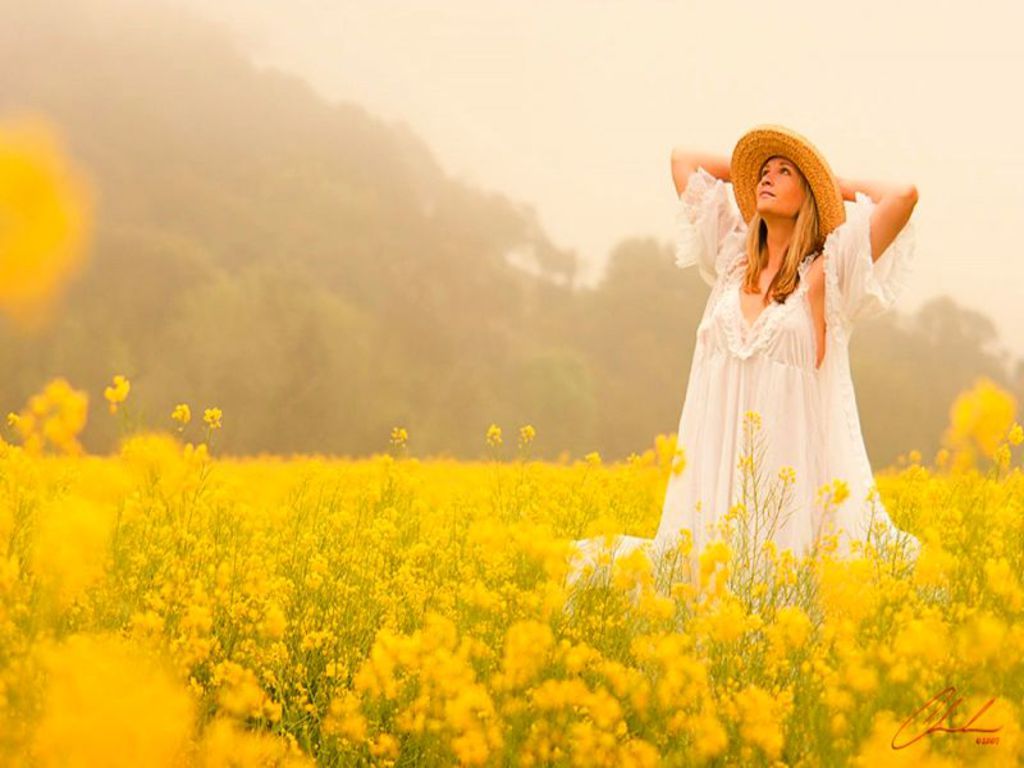 good day wallpaper,people in nature,yellow,nature,rapeseed,canola
