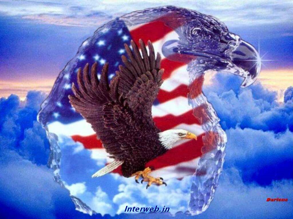 papier peint amerika,aigle,drapeau des états unis,pygargue à tête blanche,oiseau de proie,ciel