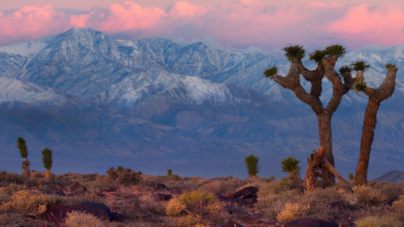 death valley wallpaper,nature,sky,mountainous landforms,vegetation,wilderness