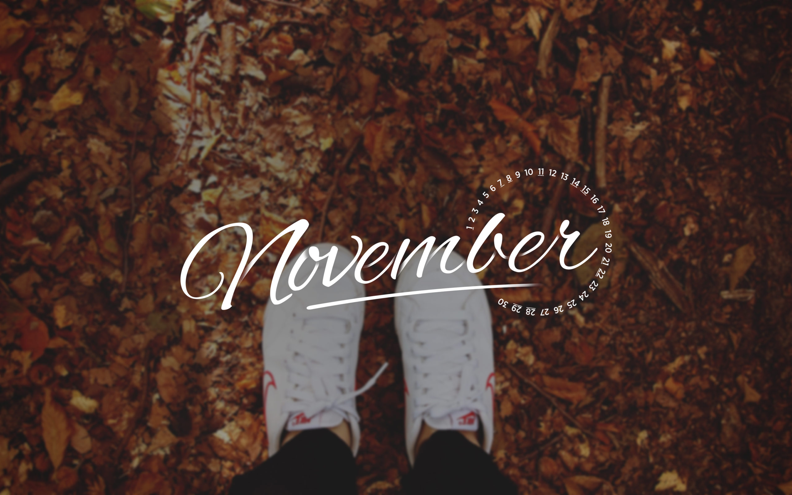 novembre wallpaper hd,testo,font,marrone,foglia,calligrafia