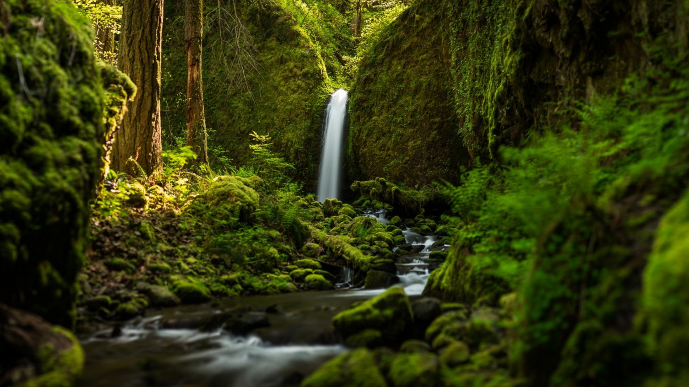 beautiful waterfall wallpaper,natural landscape,body of water,nature,waterfall,vegetation