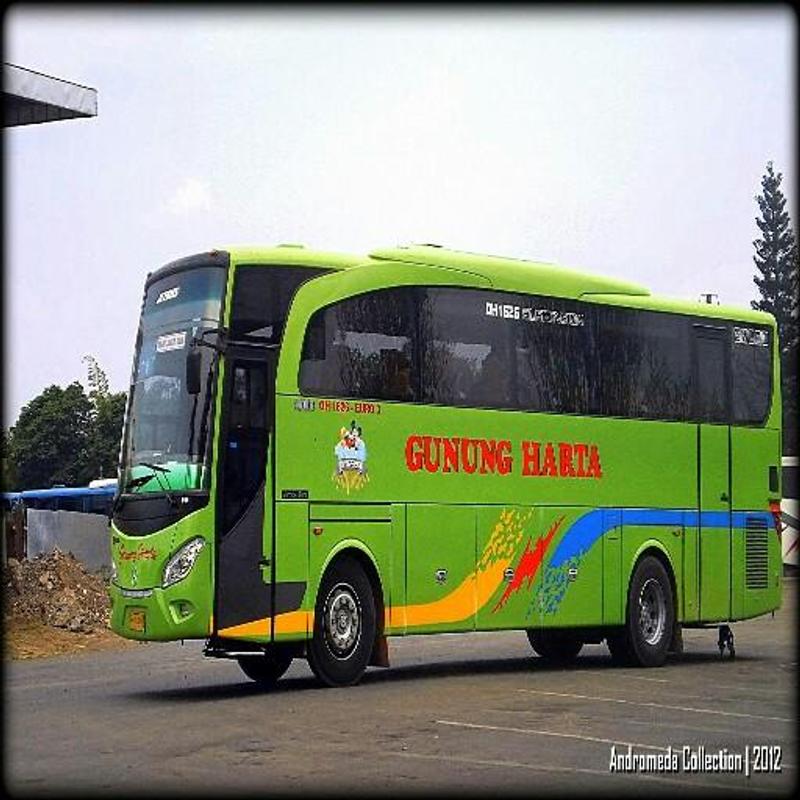 papier peint bus bergerak,véhicule terrestre,autobus,véhicule,véhicule à moteur,service de bus touristique