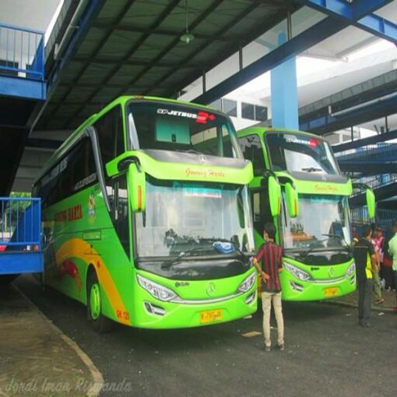 wallpaper bus bergerak,land vehicle,vehicle,transport,bus,motor vehicle