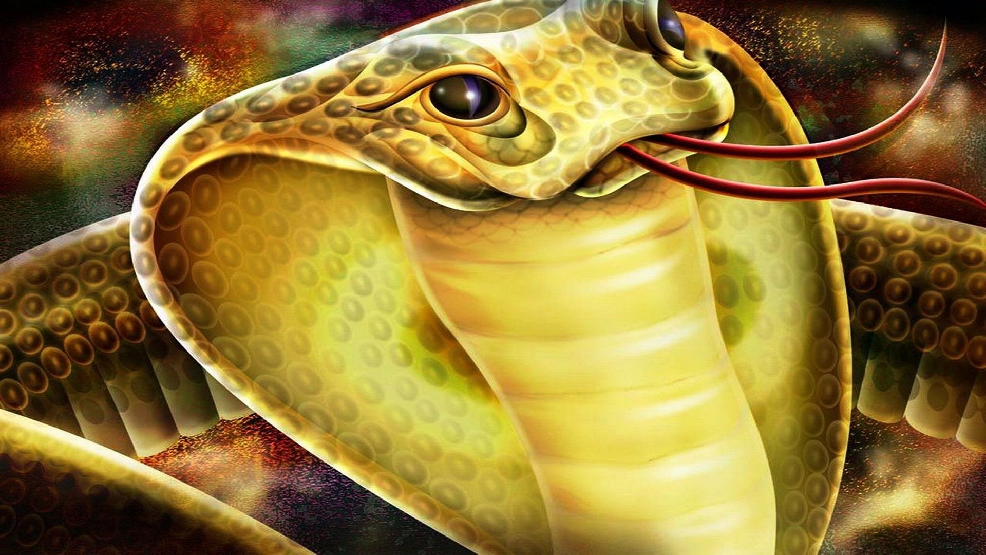 re cobra download di sfondi hd,serpente,rettile,serpente,elapidae