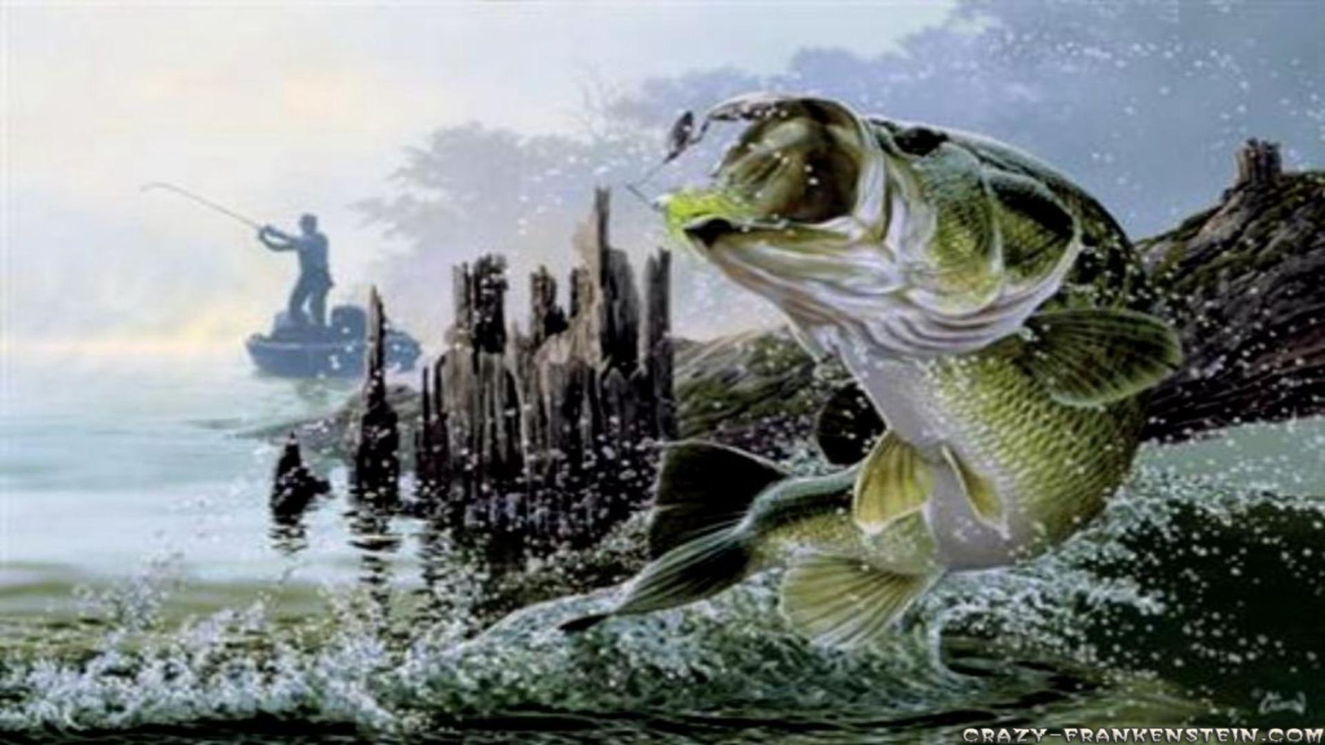 bass fishing wallpaper hd,grüne meeresschildkröte,schildkröte,meeresschildkröte,reptil,fisch