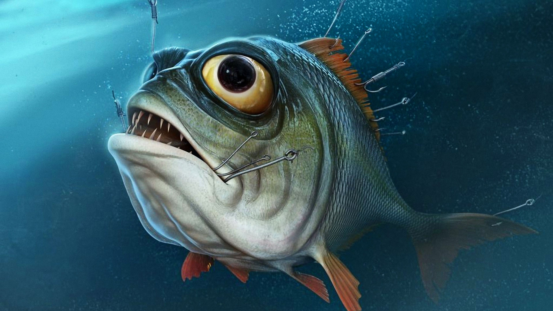 bass fishing wallpaper hd,fish,fish,deep sea fish,marine biology,bony fish