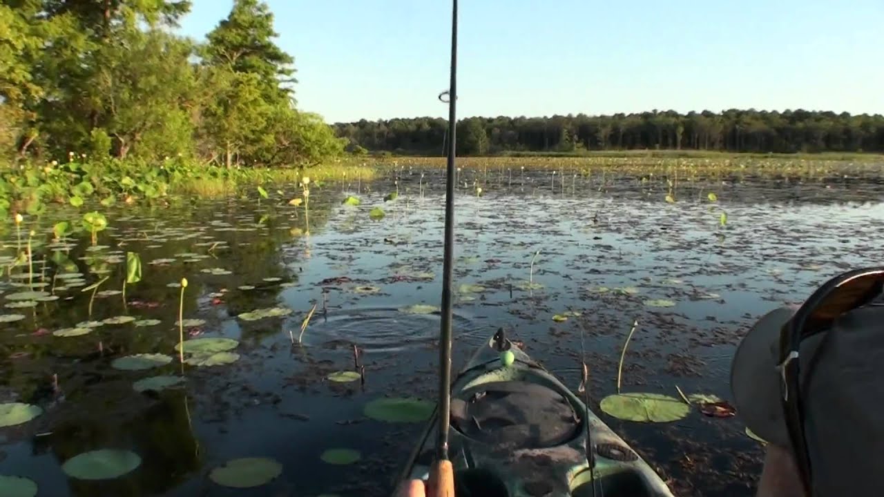 bass fishing wallpaper hd,natural environment,water resources,wetland,angling,marsh