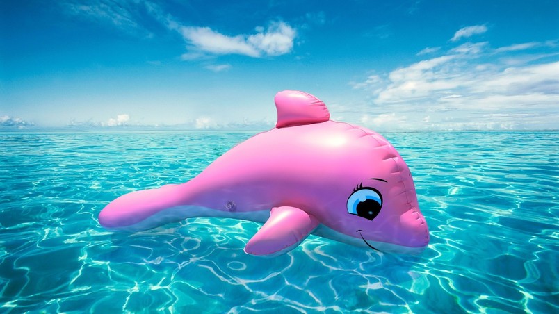 키즈 핑크 벽지,해양 포유류,돌고래,분홍,일반적인 병코 돌고래,물고기