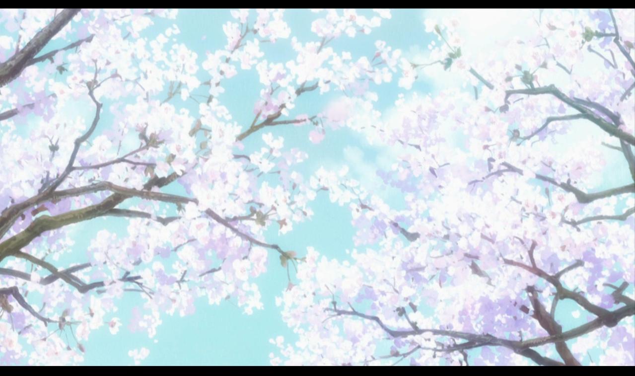 とてもかわいい壁紙,花,春,木,花,桜の花