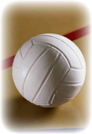 wallpaper bola voli,volleyball,ball,volleyball,soccer ball,net sports