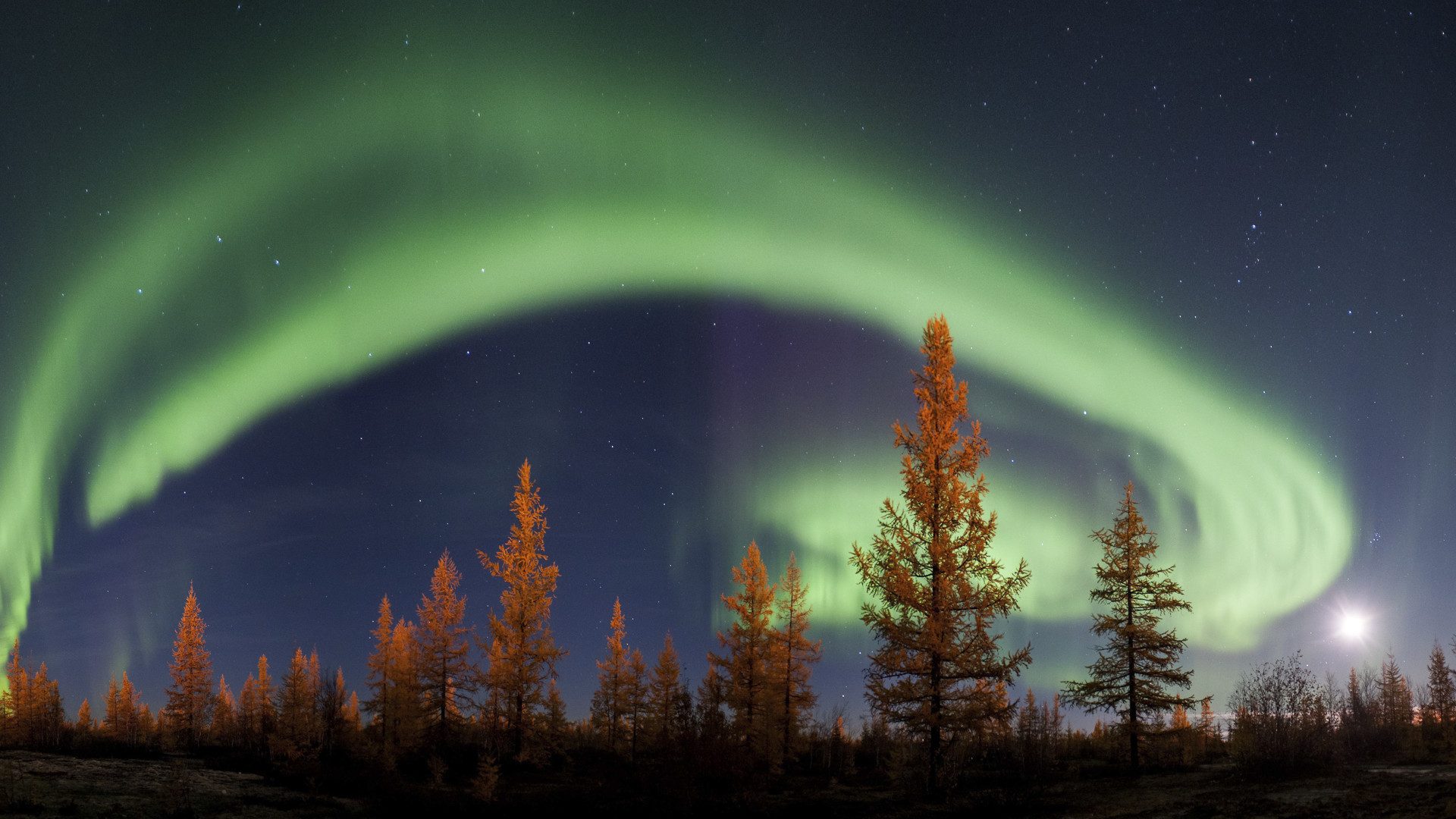 sperrbildschirm hintergrundbilder hd für windows 10,himmel,aurora,natur,baum,natürliche landschaft