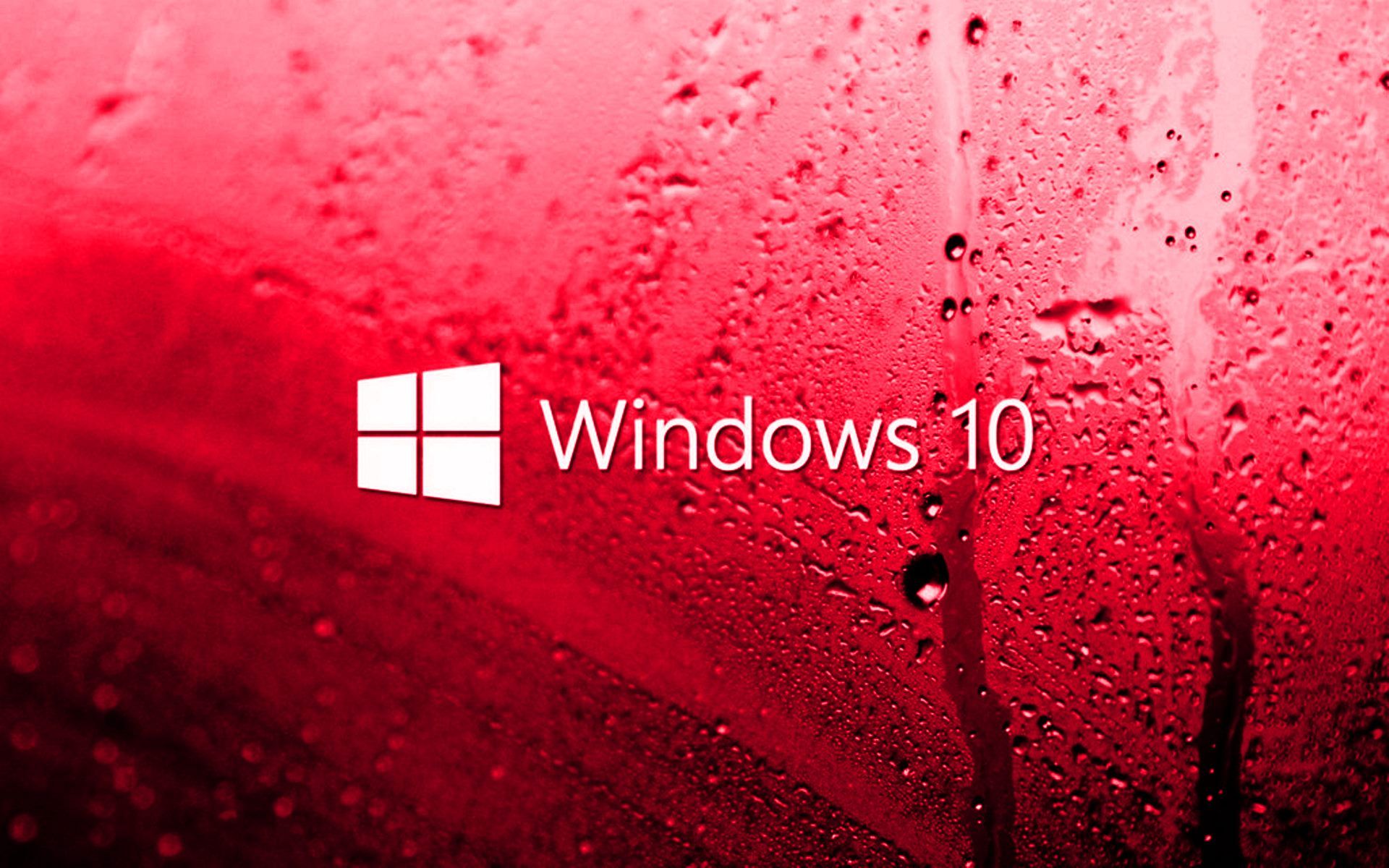 écran de verrouillage fonds d'écran hd pour windows 10,rouge,l'eau,rose,humidité,laissez tomber