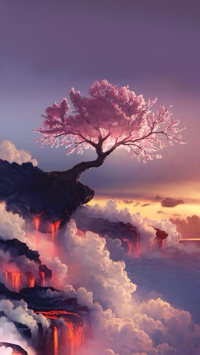 hermosos fondos de pantalla de bloqueo,cielo,naturaleza,nube,paisaje natural,árbol