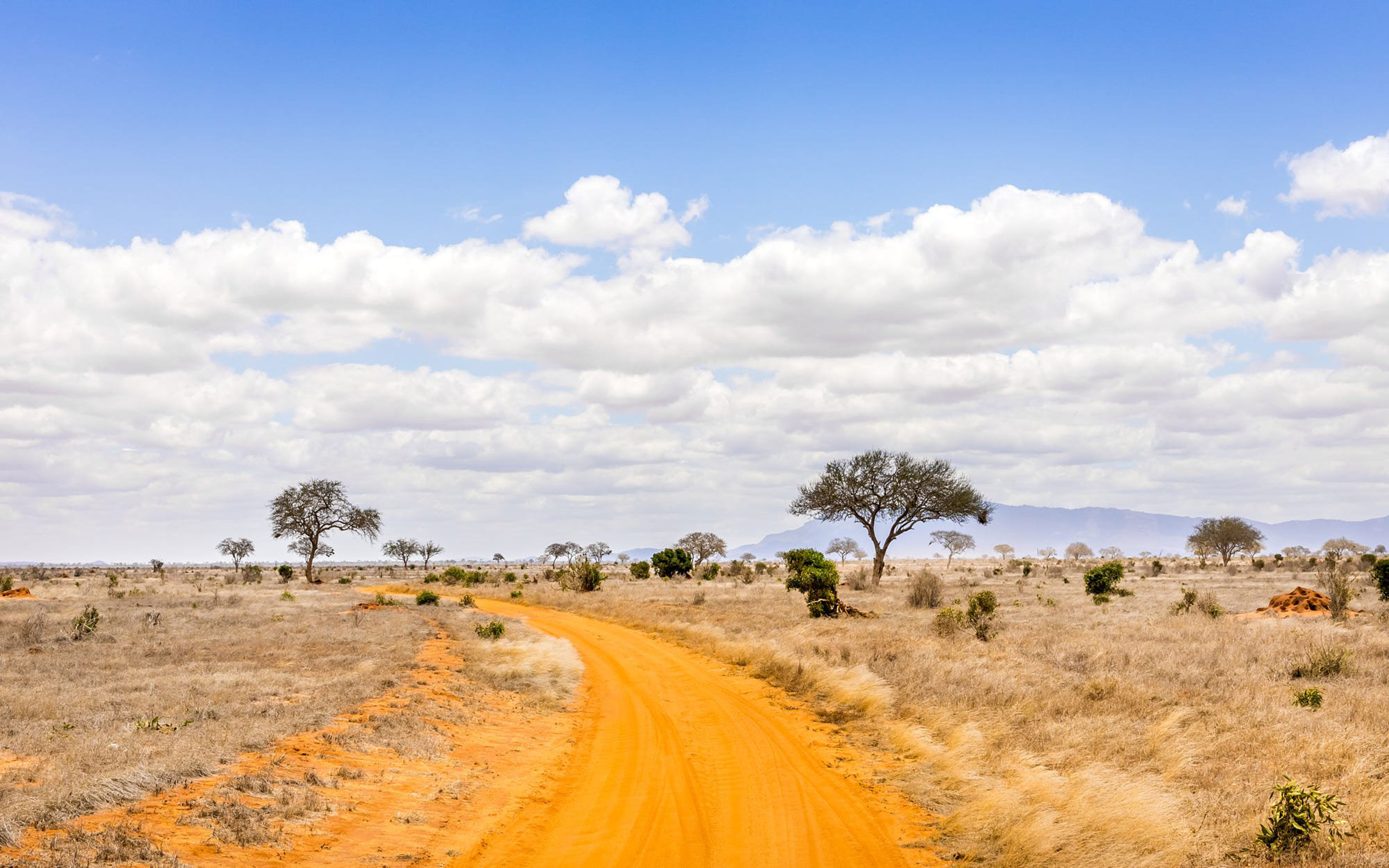 4k sfondi ultra hd,strada sterrata,savana,strada,cielo,paesaggio naturale