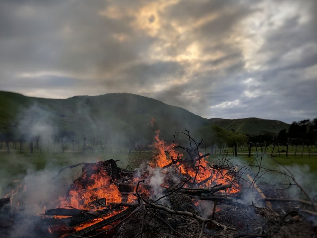 sfondo 4k per cellulare,natura,wildfire,fiamma,fuoco,cielo