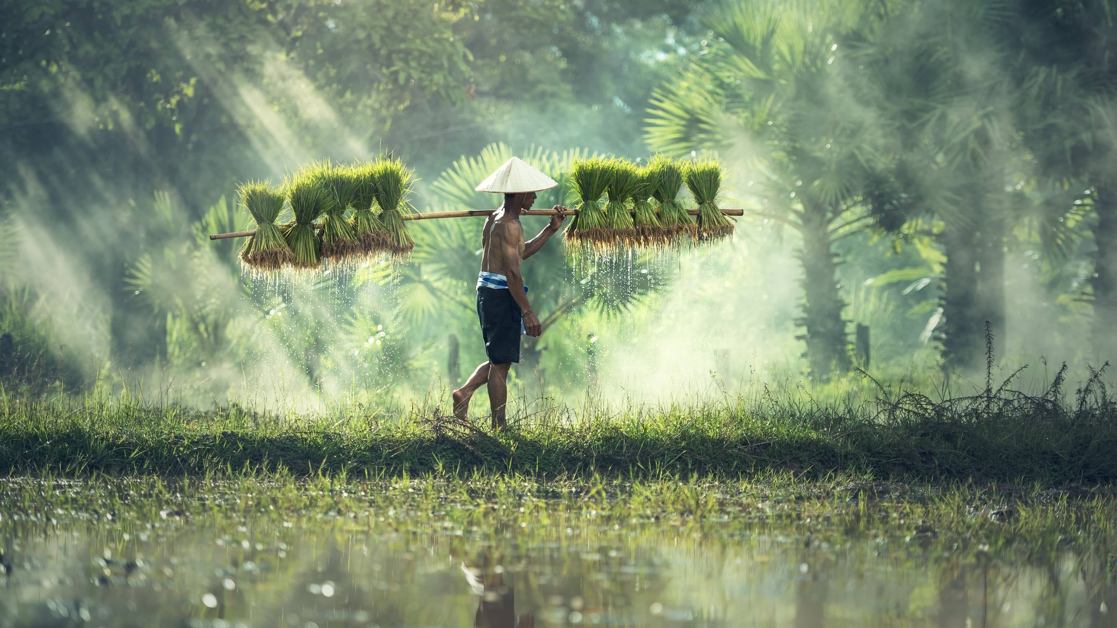 uhd wallpaper,people in nature,nature,green,atmospheric phenomenon,natural landscape