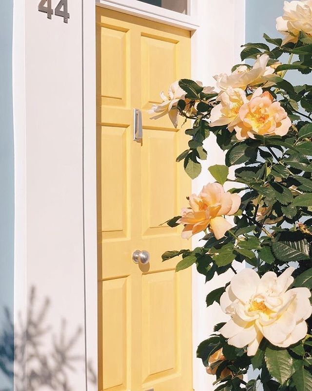 花壁紙iphone,白い,黄,花,工場,ドア